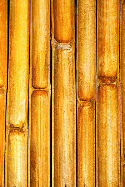 Thailand abstract cross bamboo in the temple  phangan — Stock Photo, Image