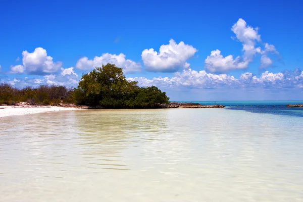 Pobřeží a lagunu uvolnit isla contoy Mexiko — Stock fotografie