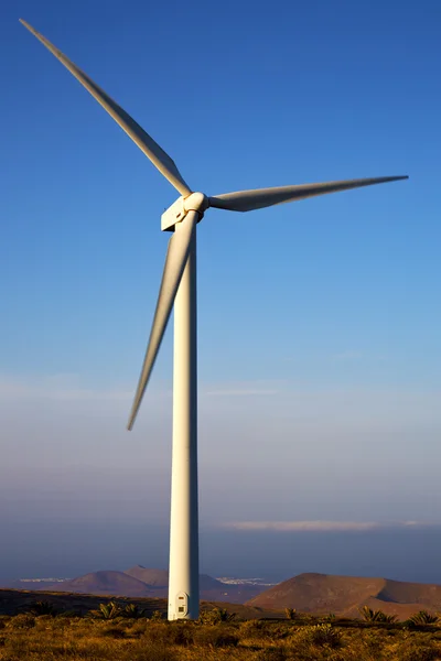 Spain     turbines and  in  isle of lanzarote — Stock Photo, Image