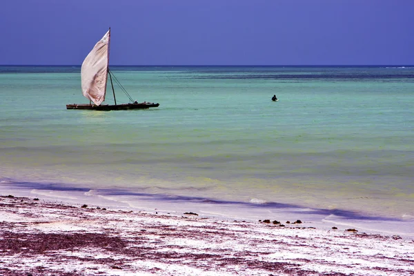 Costline boat pirague in the  blue lagoon relax     africa — Stock Photo, Image