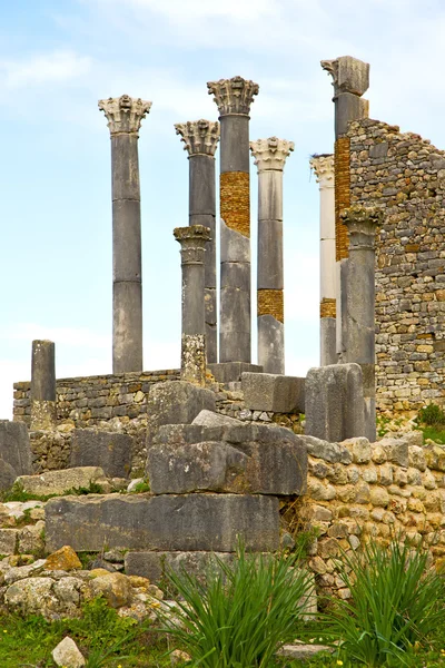 Volubilis in Marocco monumento romano deteriorato e s — Foto Stock