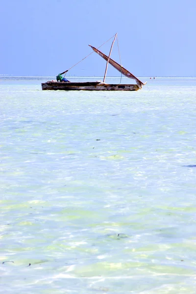 Playa en zanzíbar algas marinas océano Índico vela tanzania —  Fotos de Stock