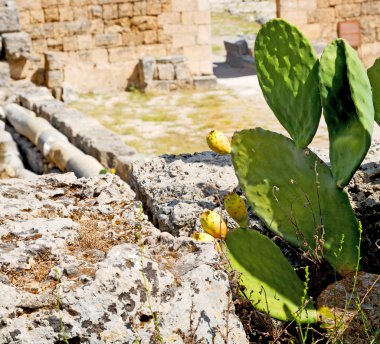  Bush kapısı Atina eski sütun taş yapılar 