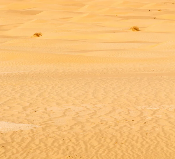 En oman viejo desierto frotar al khali el cuarto vacío y al aire libre —  Fotos de Stock