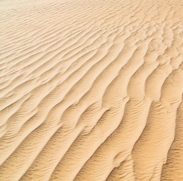 In oman the old desert and the empty quarter abstract  texture l — Stock Photo, Image