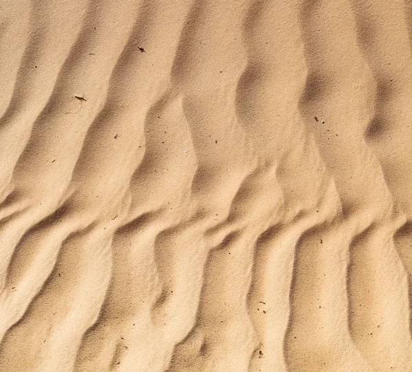 En oman el desierto viejo y el cuarto vacío textura abstracta l —  Fotos de Stock