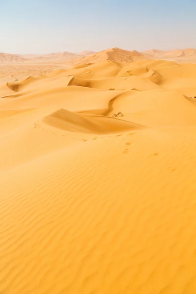 오만 오래 된 사막에 문지름 알루미늄 khali 및 모래 언덕 — 스톡 사진