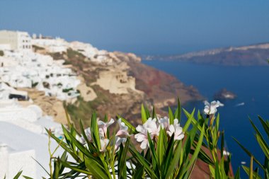  çiçekler mimarisi Avrupa'nın Kiklad Adaları santorini eski şehir 