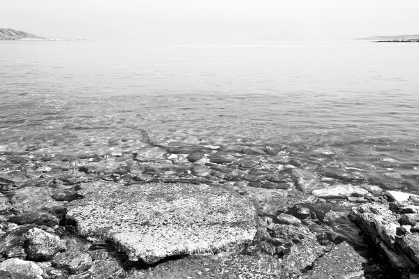 Brown  stone in the coastline sunrise and light ocean white sky — Stock Photo, Image