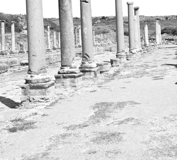 Perge antigua construcción en asia pavo la columna y el romano —  Fotos de Stock