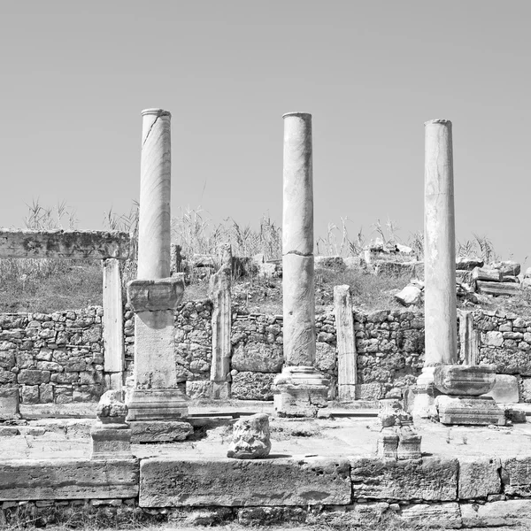 In  perge old construction asia turkey the column  and the roma — Stock Photo, Image