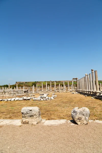 Perge old   in asia turkey the column — Stock Photo, Image
