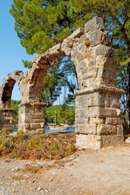 Phaselis deniz bush eski sütun   