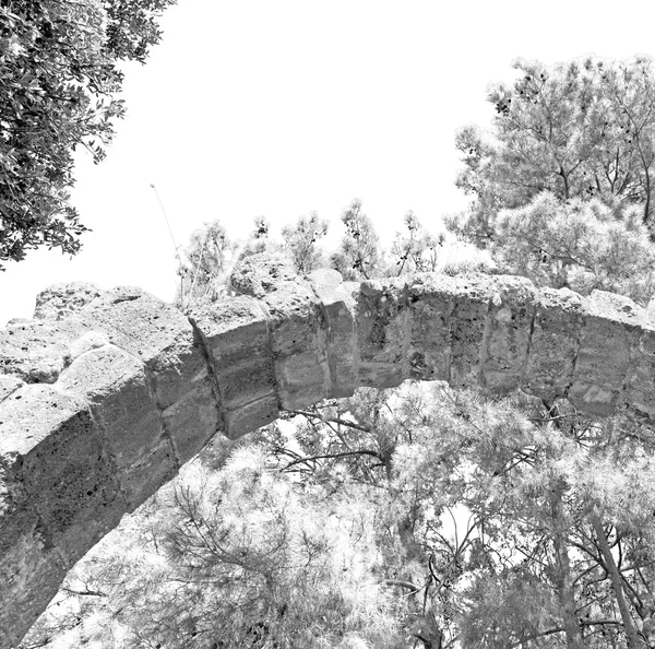 Phaselis sea  bush gate  in  myra  the      old column  stone  c — Stock Photo, Image