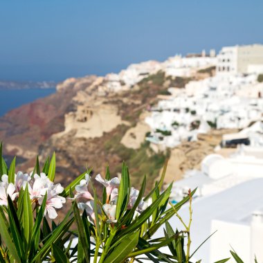  çiçekler mimarisi Avrupa'nın Kiklad Adaları santorini eski şehir 