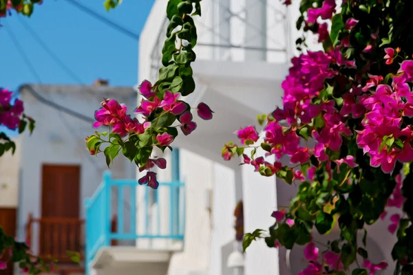 In the isle of greece antorini europe old house and white color — Stock Photo, Image