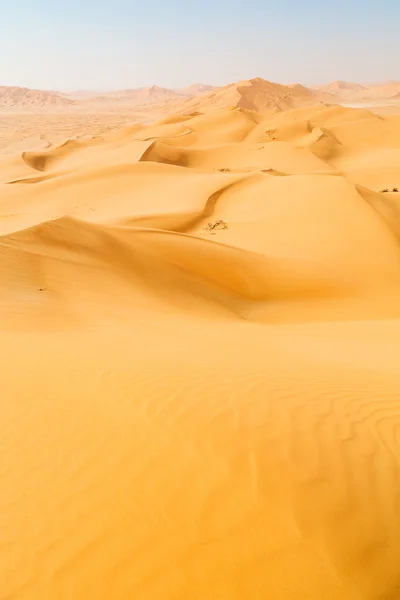 In oman vecchio deserto strofinare al khali — Foto Stock