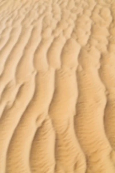 In oman the old desert and the blurred — Stock Photo, Image