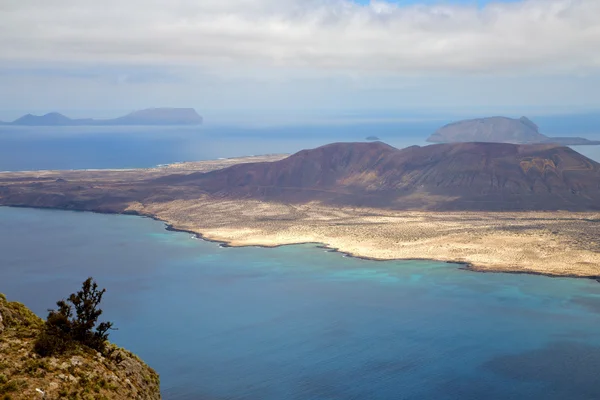 Kwiat miramar Hiszpania del rio wody w lanzarote — Zdjęcie stockowe