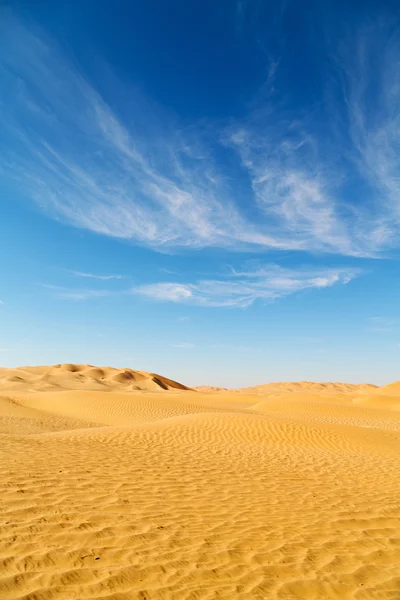 In oman old   sand dune — Stock Photo, Image