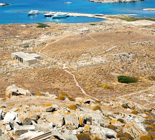 Arbusto em delos grécia a acrópole histórica e velha ruína sentar — Fotografia de Stock