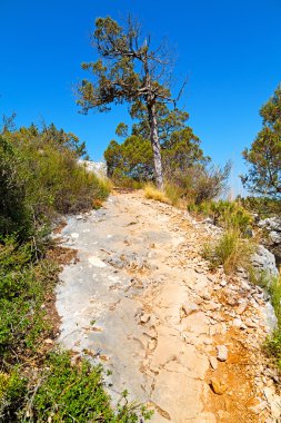 soyut renkler ve bulanık arkaplan