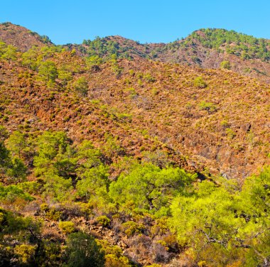 Olympos mountain bush Anadolu mirası kalıntılar tepeden 
