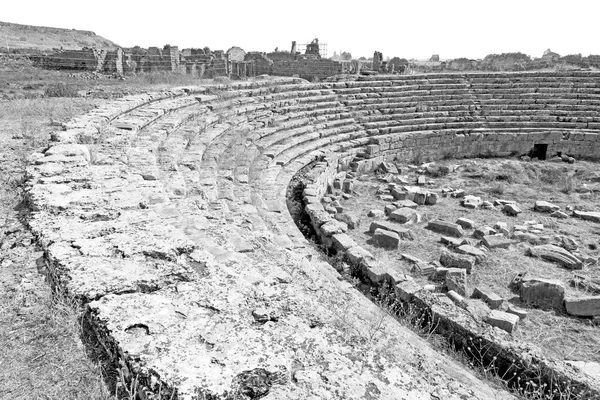 Bush  in  athens the      old column  stone  construction asia — Stock Photo, Image