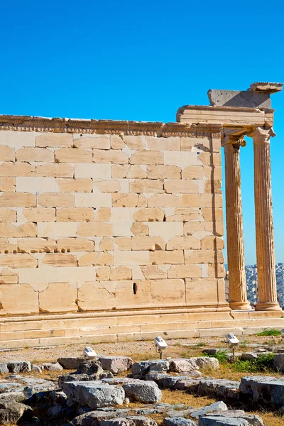 Heykel Akropolis Atina'da tarihi mimarisi - Stok İmaj