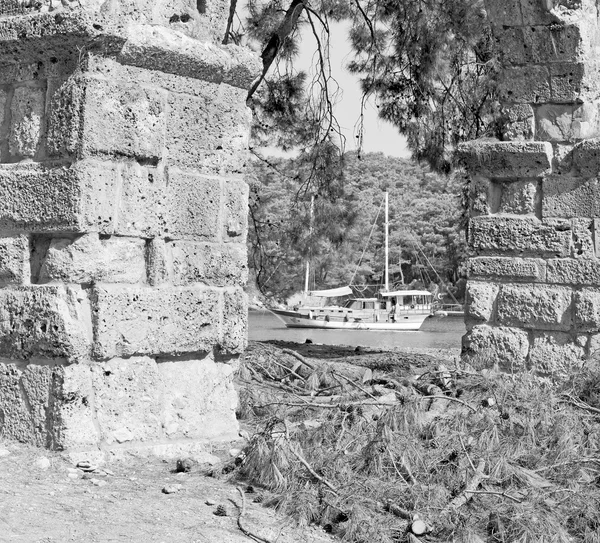 Phaselis sea  bush gate  in  myra  the      old column  stone  c — Stock Photo, Image