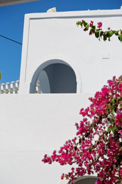  çiçekler mimarisi Avrupa'nın Kiklad Adaları santorini eski şehir 