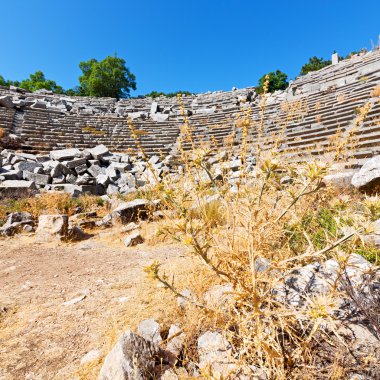 eski tapınak ve termessos antalya Türkiye Asya gökyüzü tiyatroda