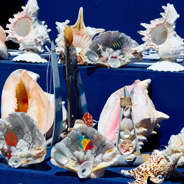 V trhu staré tabulky shell a sealife v prodeji — Stock fotografie