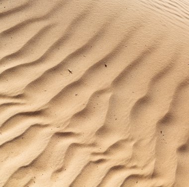 Umman eski çöl ve boş çeyrek soyut doku l