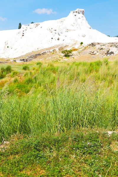 Albero acqua travertino unico — Foto Stock