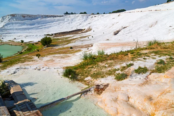 Albero in vasca e acqua travertino — Foto Stock