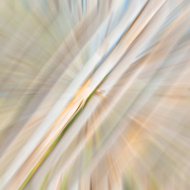 arka plan doku dünya