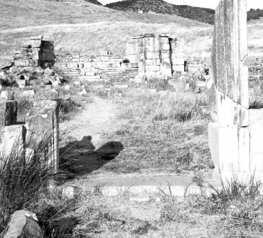 arka plan doku dünya