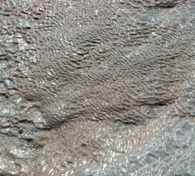 arka plan doku dünya