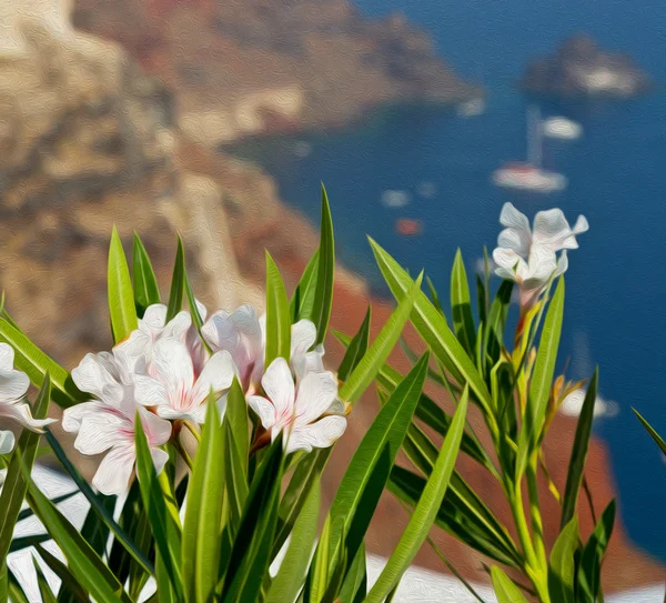 Fleurs en architecture europe cyclades santorini vieille ville — Photo