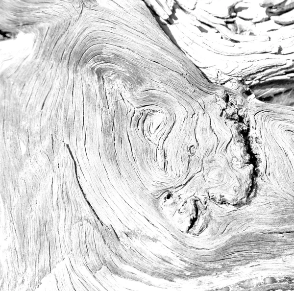 Кора в абстрактном крупным планом дерева цвета и текстуры — стоковое фото