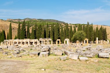  Anadolu pamukkale eski inşaat ağaç