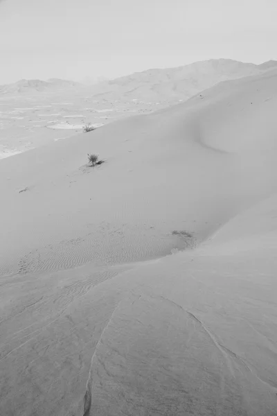 I oman gamla öknen rub al khali empty quarter och utomhus s — Stockfoto