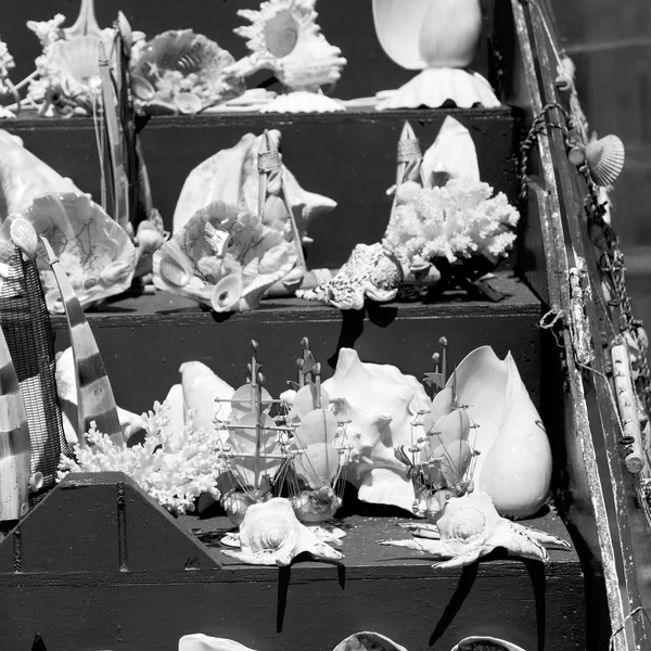 In markt oude tabel shell en sealife in verkoop — Stockfoto