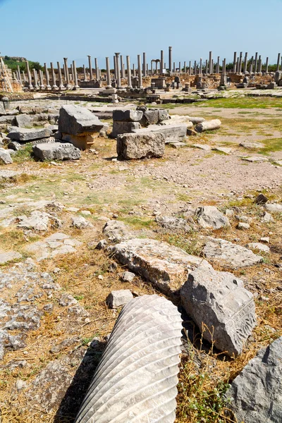 Perge Bau in Asien Türkei der Säulentempel — Stockfoto