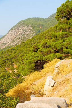 Olympos hill Asya Türkiye ve doğa 