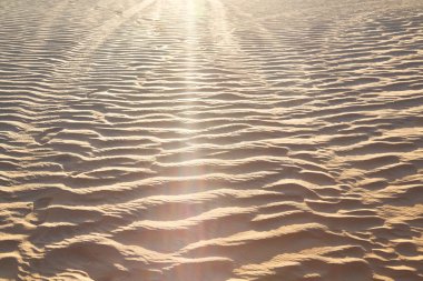 Umman satırı dalga Soyut doku