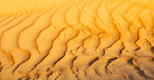 In oman il vecchio deserto e il vuoto trimestre texture astratta li — Foto Stock