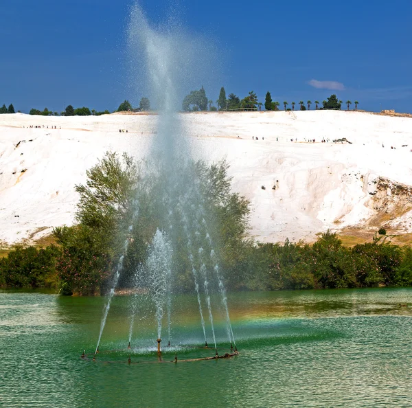 Albero unico astratto in pamukkale tacchino asia il vecchio calciu — Foto Stock