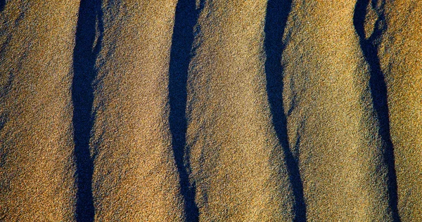 Spain texture abstract of a  dry sand — Stock Photo, Image